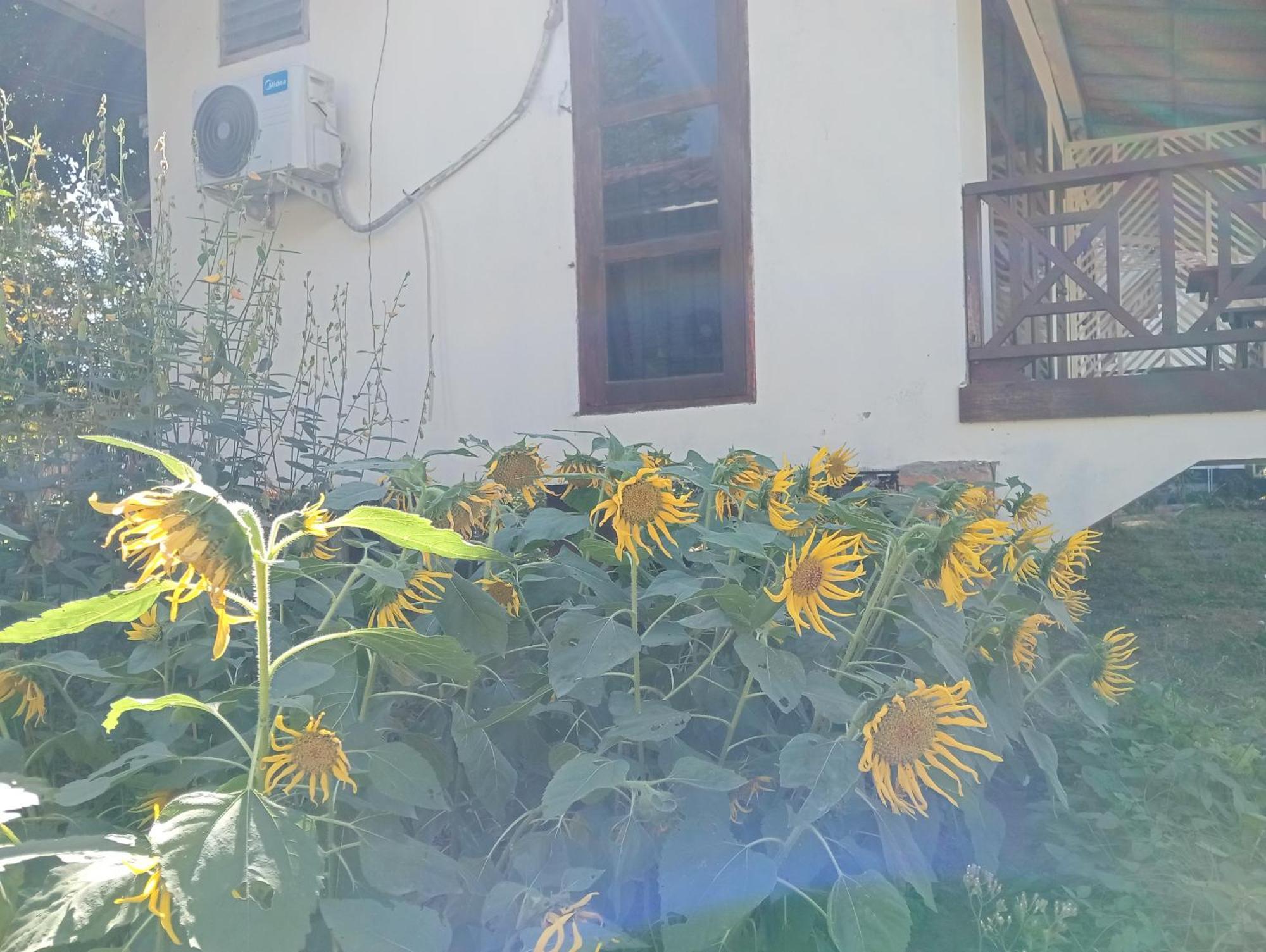 Vangvieng Ruby'Homestay فان فيان المظهر الخارجي الصورة