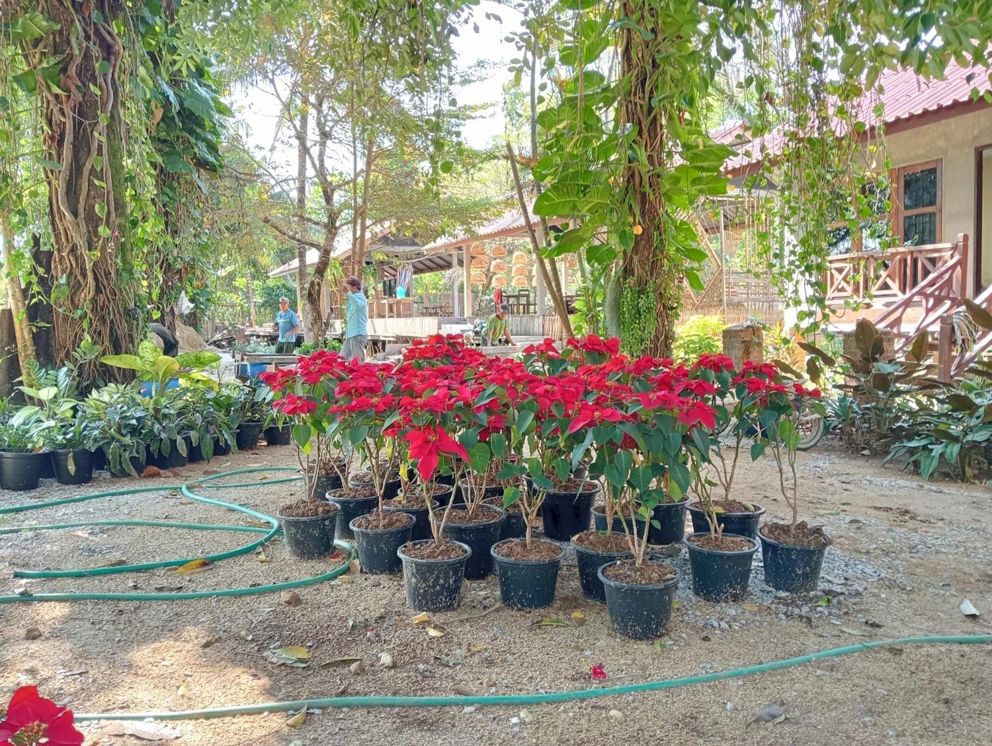 Vangvieng Ruby'Homestay فان فيان المظهر الخارجي الصورة